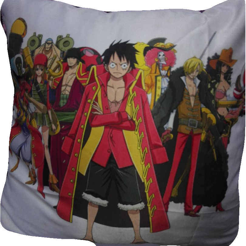 One Piece Cushion
